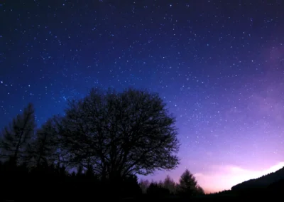 purple and blue star light sky with silhouette trees